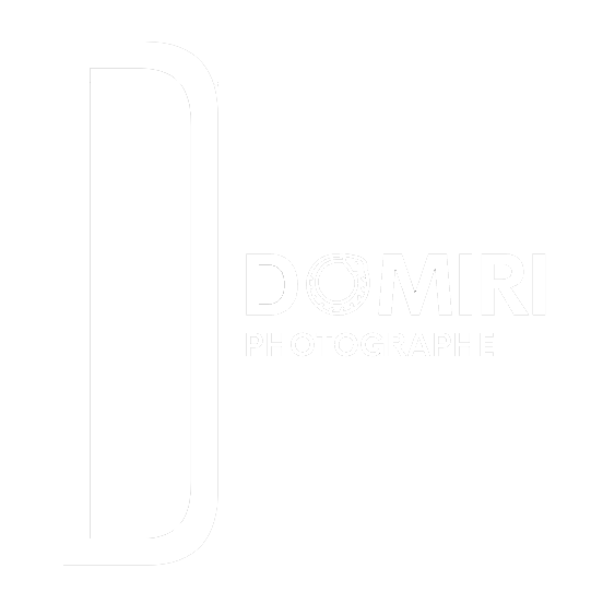 graphe d'architecture lyon domiri logo