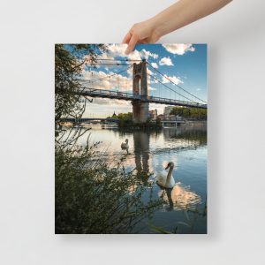 Passerelle du Collège et cygnes au crépuscule, Lyon